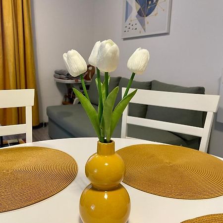 Apartament Mara Lägenhet Băile Felix Exteriör bild